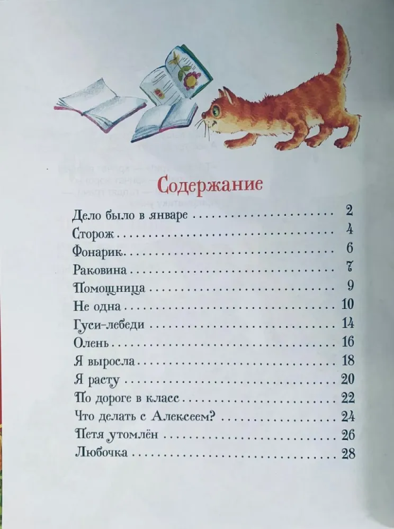 9785353111382 (1).jpg