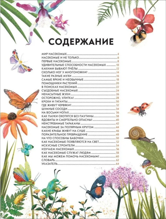 9785353101925 (1).jpg