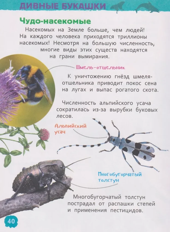 9785353115229 (2).jpg