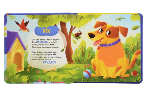 9785353116851 (1).jpg