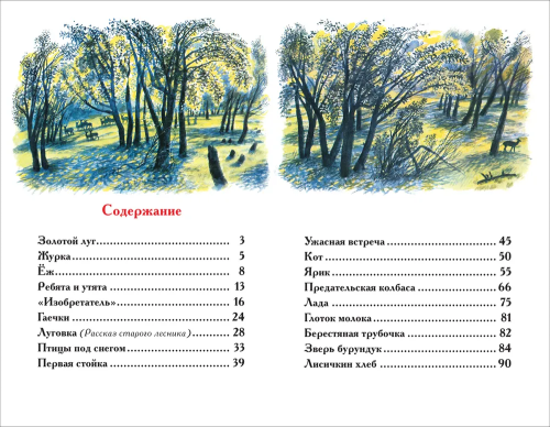 9785353111337 (1).jpg