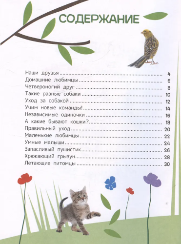 9785353107248 (1).jpg