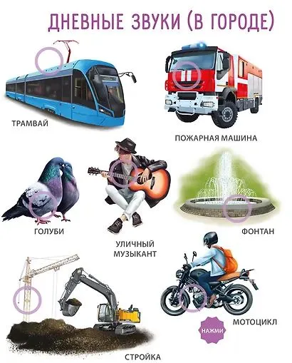 9785436607986 (2).jpg