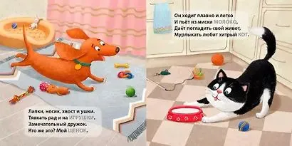 9785436607047 (1).jpg
