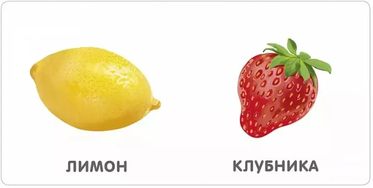 9785436607559 (2).jpg