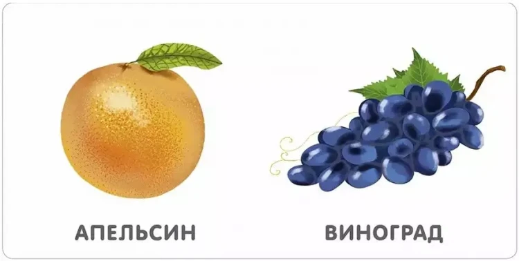 9785436607559 (1).jpg