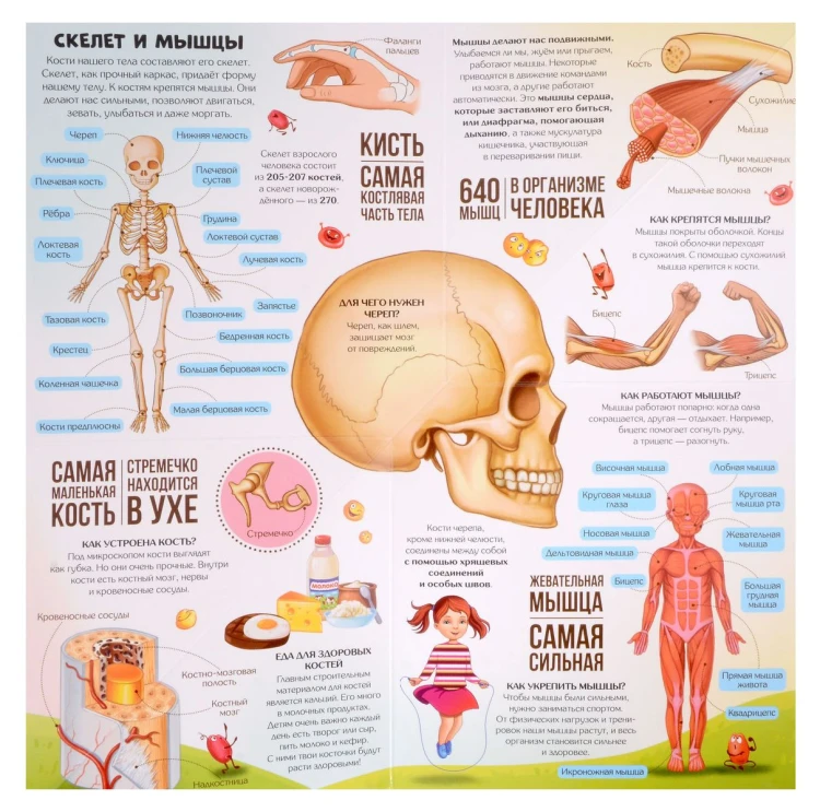 9785001349228 (2).jpg