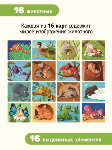 9785908020145 (1).jpg