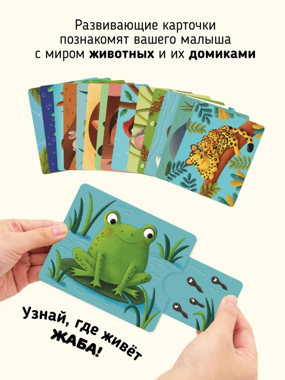 9785908020145 (2).jpg