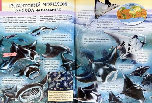 9785353107309 (1).jpg