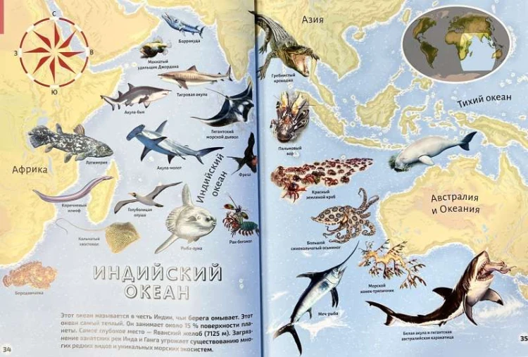 9785353107309 (2).jpg