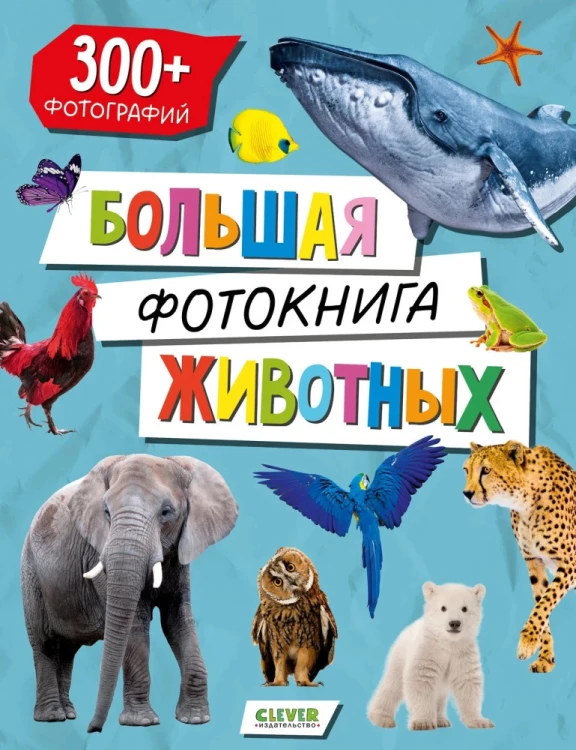 9785002527595.jpg