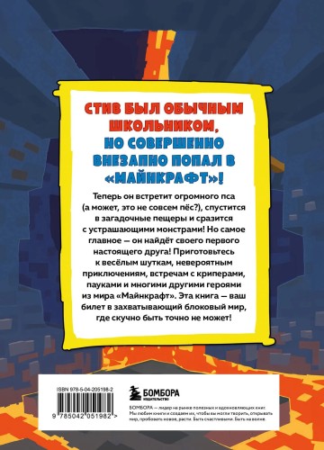97850420519822.jpg