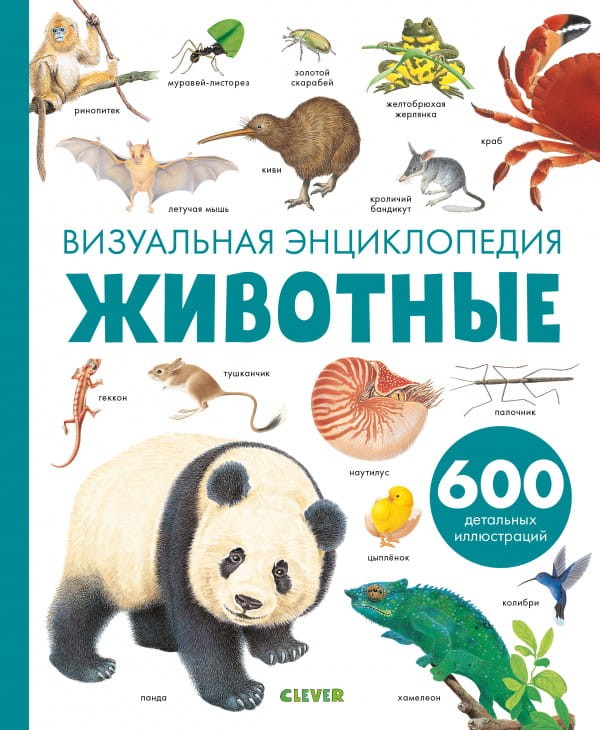 (62)1.jpg