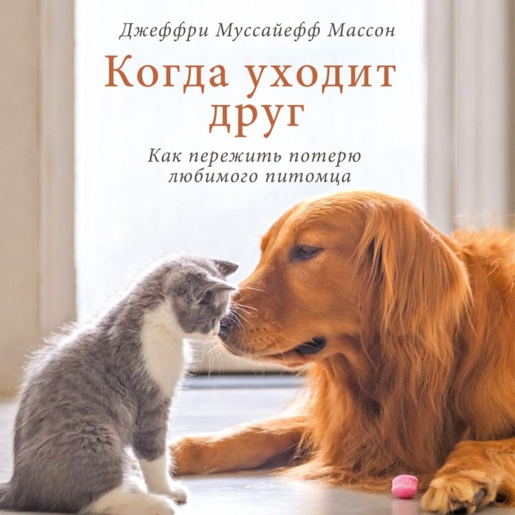 (106)1.jpg