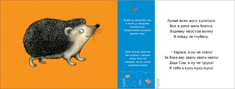 (147)2.jpg