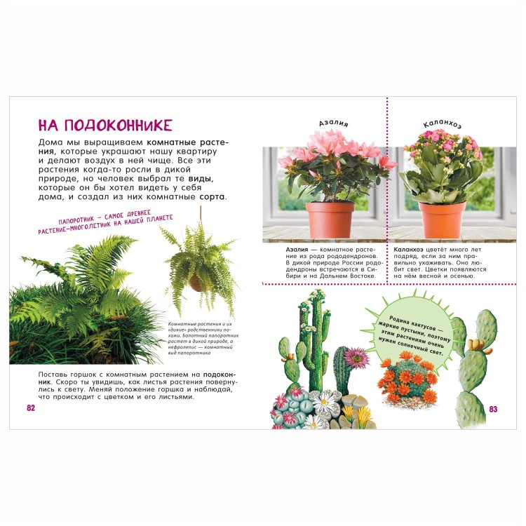 (164)2.jpg