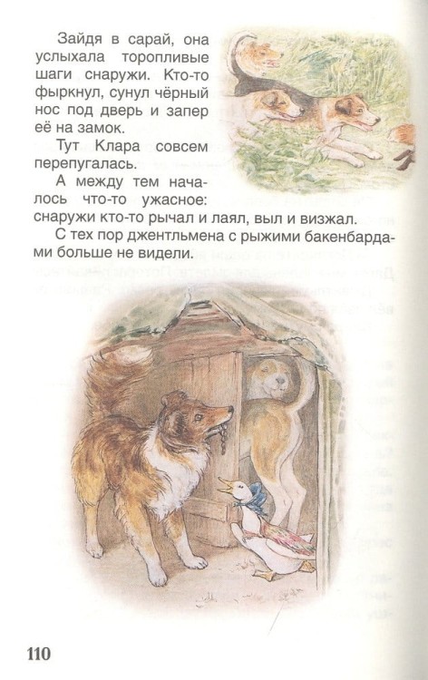 (195)5.jpg