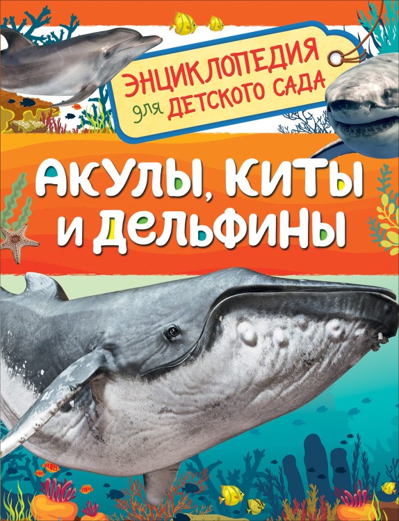 18_1.jpg