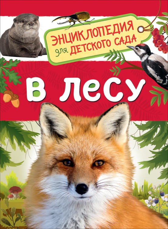 26_1.jpg