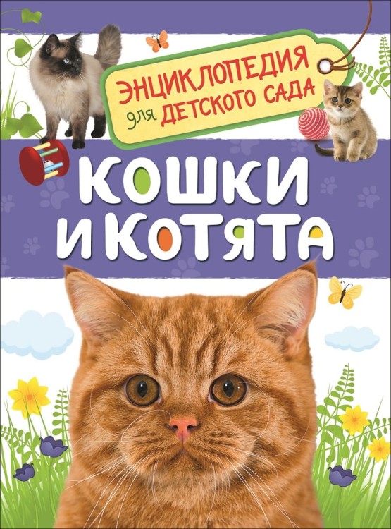 62_1.jpg