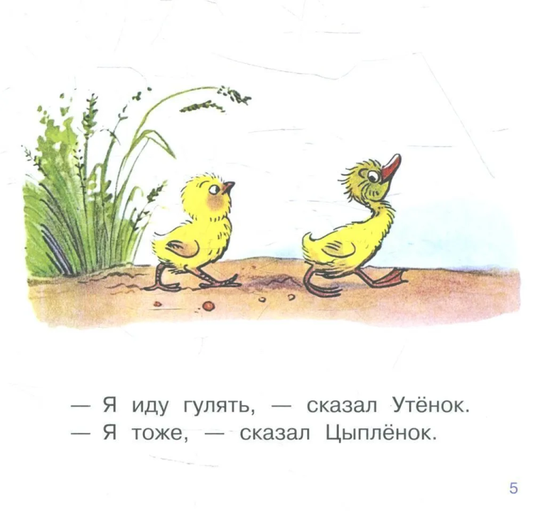 6339125118.jpg