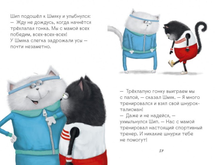 шм4.jpg