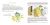 шер2.webp
