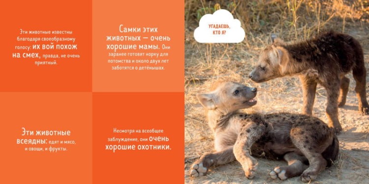 кто3.jpg
