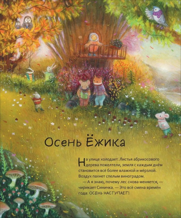 год2.jpg