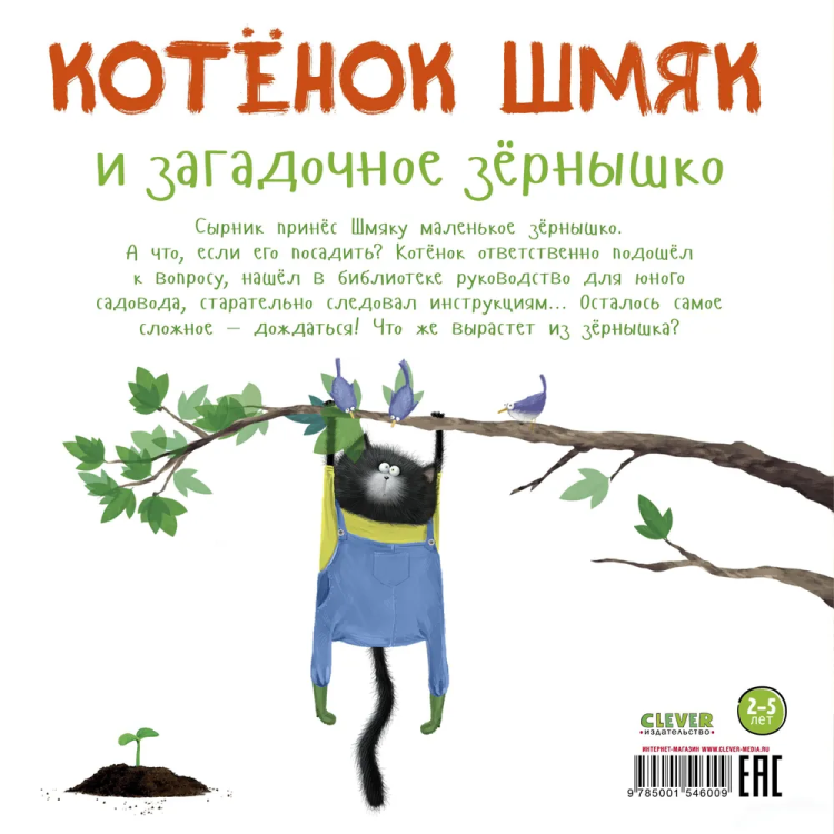 зер2.jpg