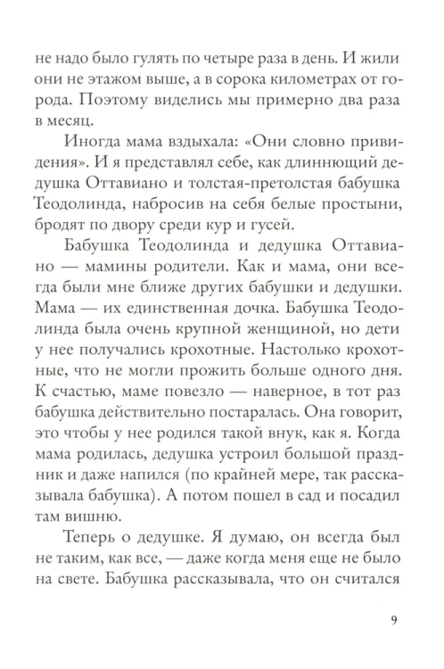 виш5.jpg