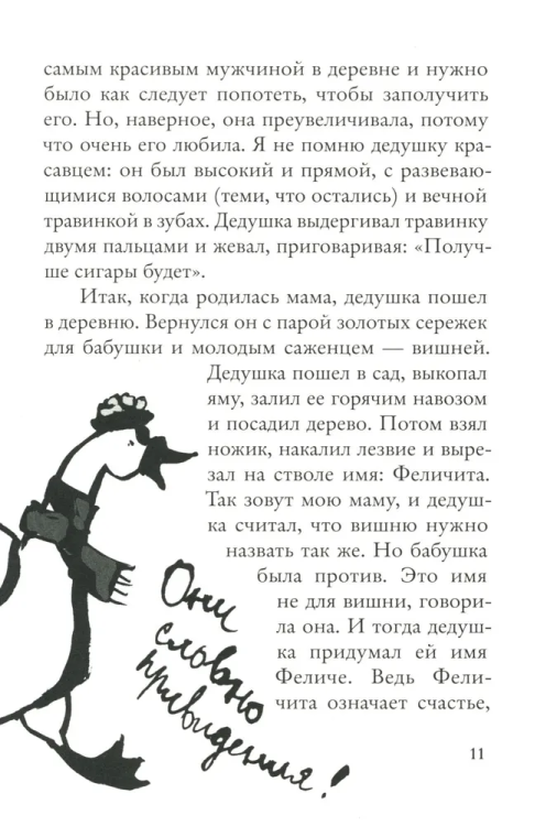 виш7.jpg