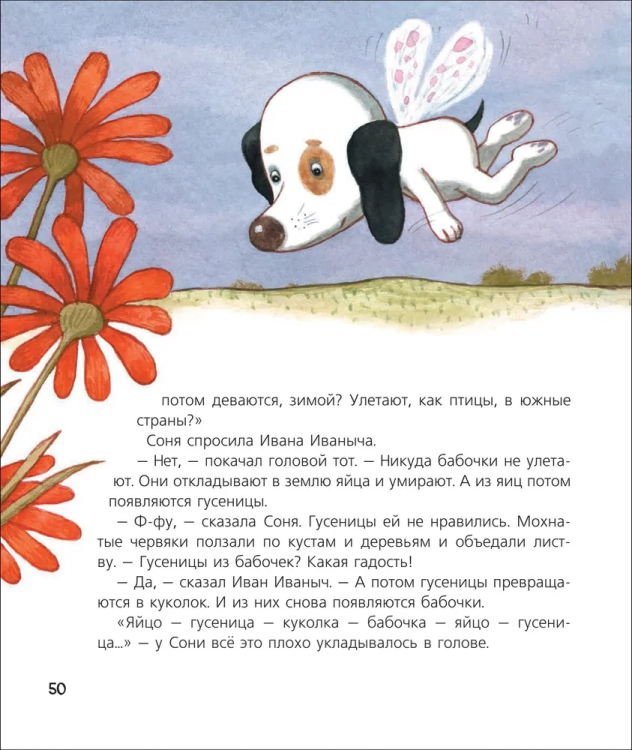 Собачка-Соня-на-даче 2.jpg