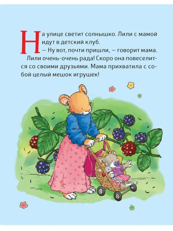 пустышка3.jpg
