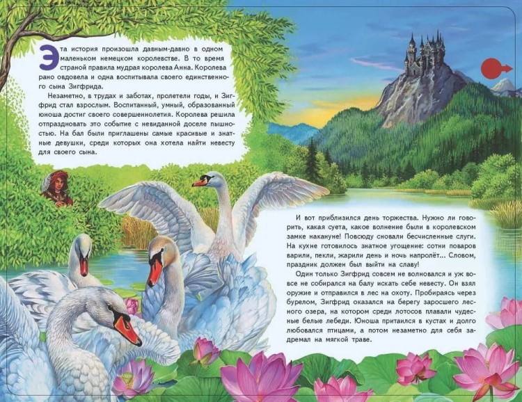 Lebedinoye ozero (+ muzyka P.I. Chaykovskogo)