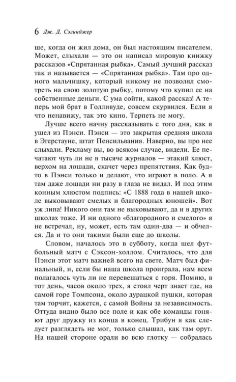 Nad propastyu vo rzhi | J. Salinger