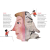 9785353110019 (2).png