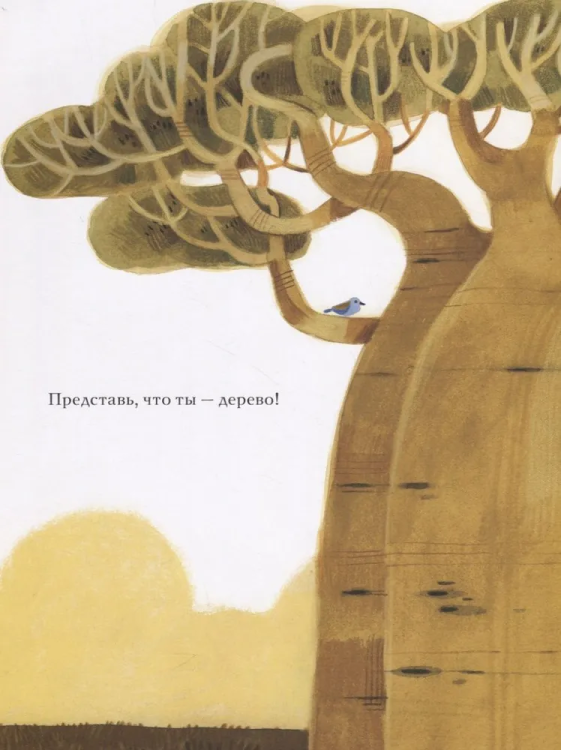 9785433509085 (2).jpg