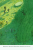 9785001675426 (1).jpg
