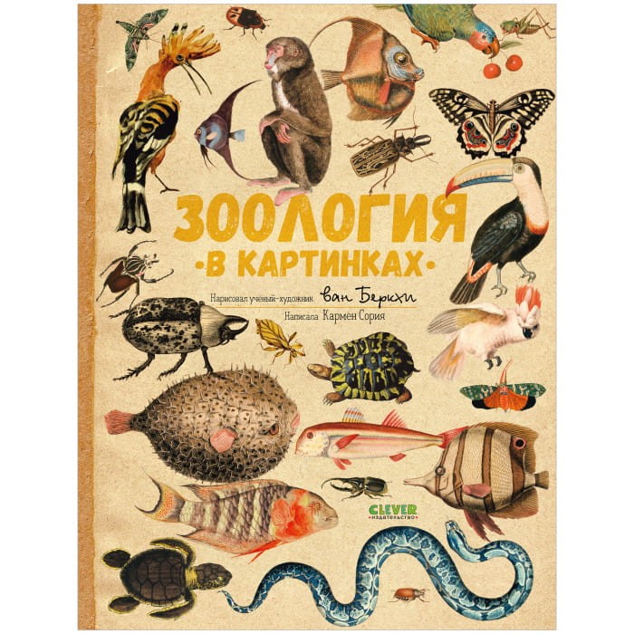 9785001548362.jpg