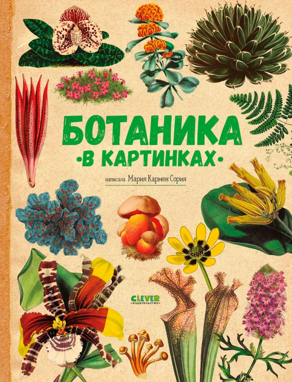 9785002520497.jpg