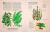 9785002520497 (1).jpg