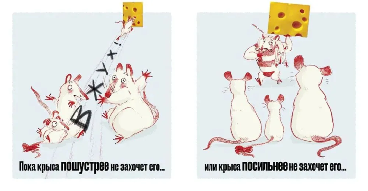 9785907022423 (1).jpg