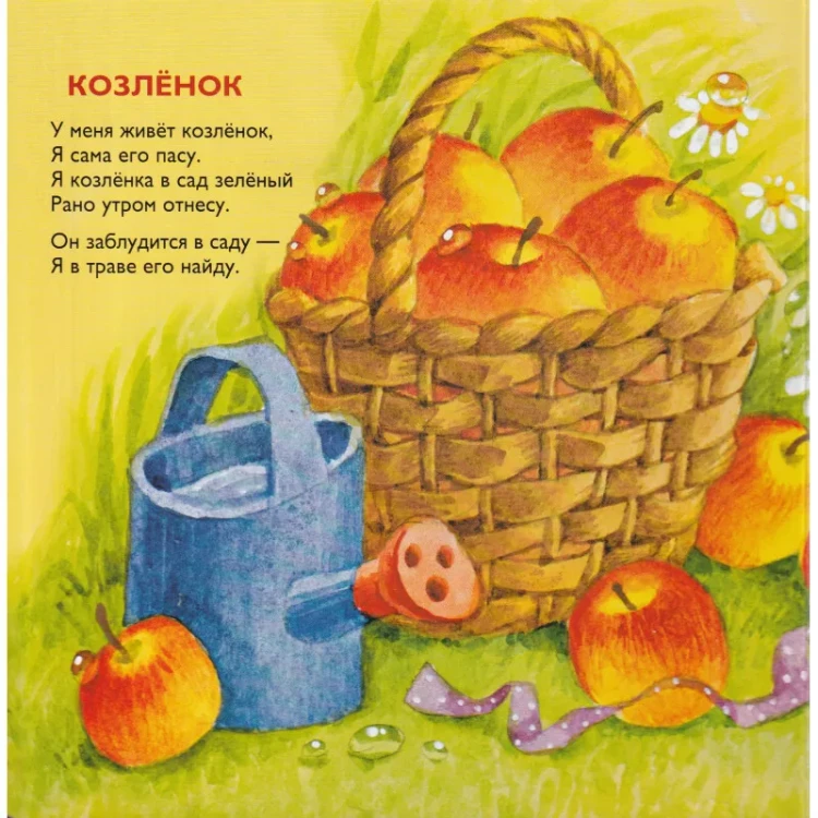 17.webp